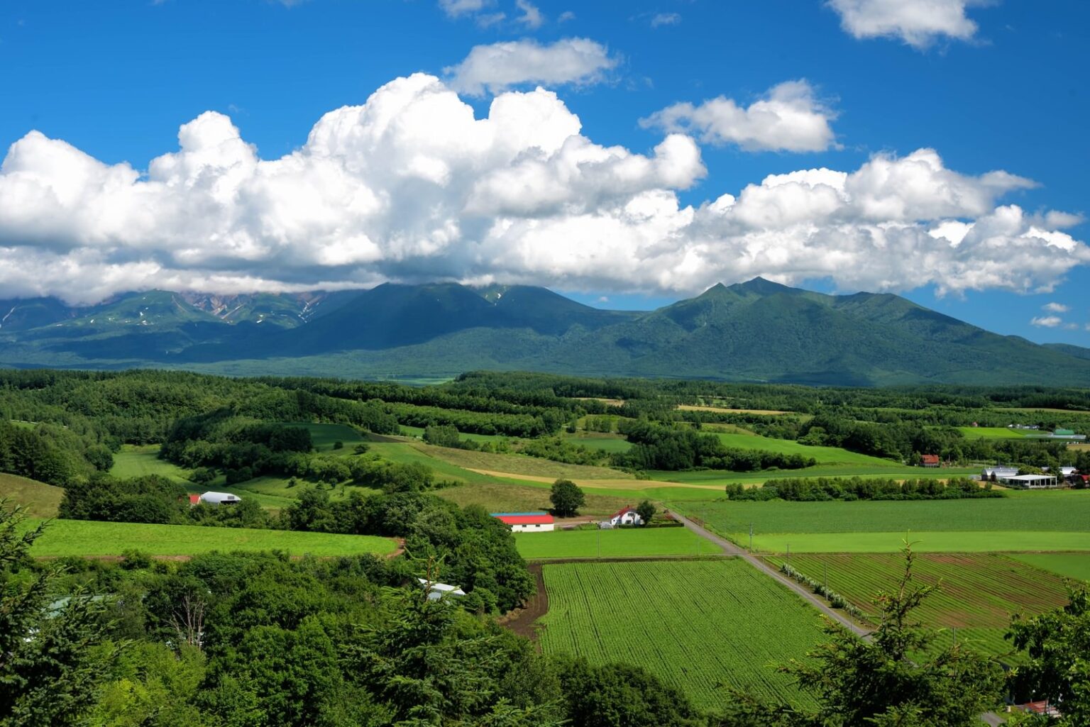 静岡県裾野市：富士山と愛鷹山の間に広がる、先端技術と自然が調和する街 - チフォー