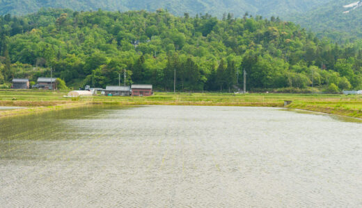 恐竜の足跡と絶景が魅力！群馬県神流町で過ごす豊かな時間