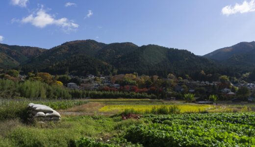 愛知県犬山市：歴史と文化が香る、城下町と観光の街